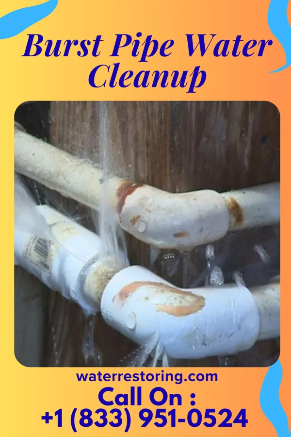 Burst Pipe Water Cleanup in Pattison, TX