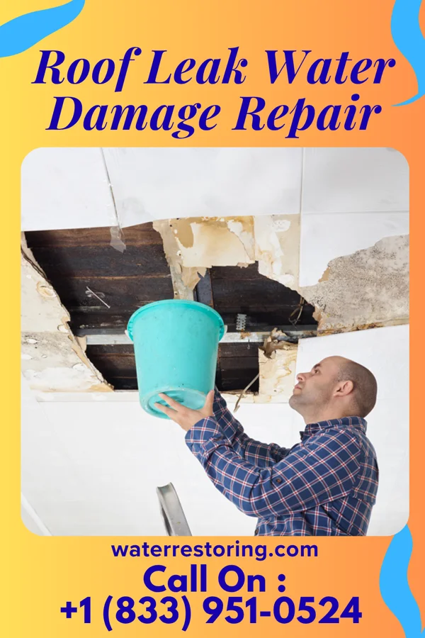 Roof Leak Water Damage Repair in Pattison, TX