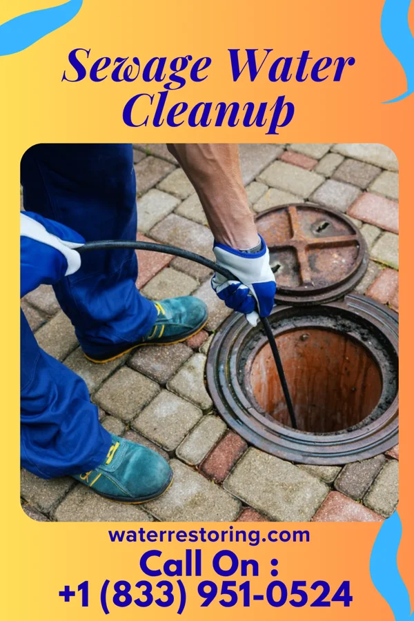 Sewage Water Cleanup in Pattison, TX