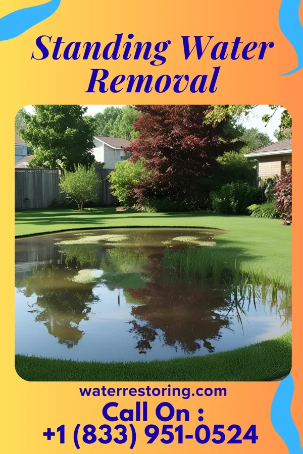 Standing Water Removal in Pattison, TX